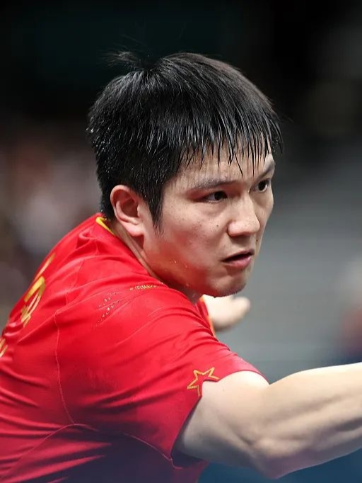 奥地利队绝杀波兰队，樊振东高光表现